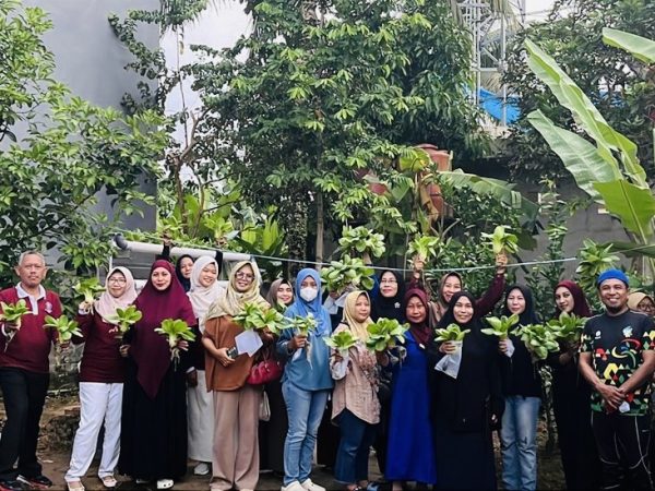 Lahan Terbatas Bukan Hambatan, KKN- Tematik UHO Dorong Ibu Rumah Tangga Kambu Kembangkan Hidroponik