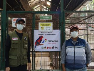 Pertamina Patra Niaga Regional Sulawesi Perkuat Konservasi Burung Nuri Talaud melalui Edukasi dan Program Breeding di Bitung